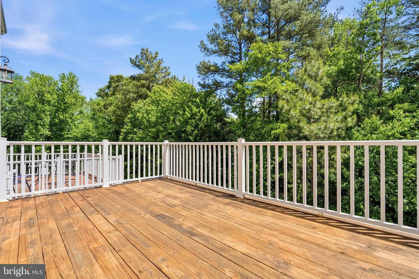 23222 Mountain Laurel Lane photo 9