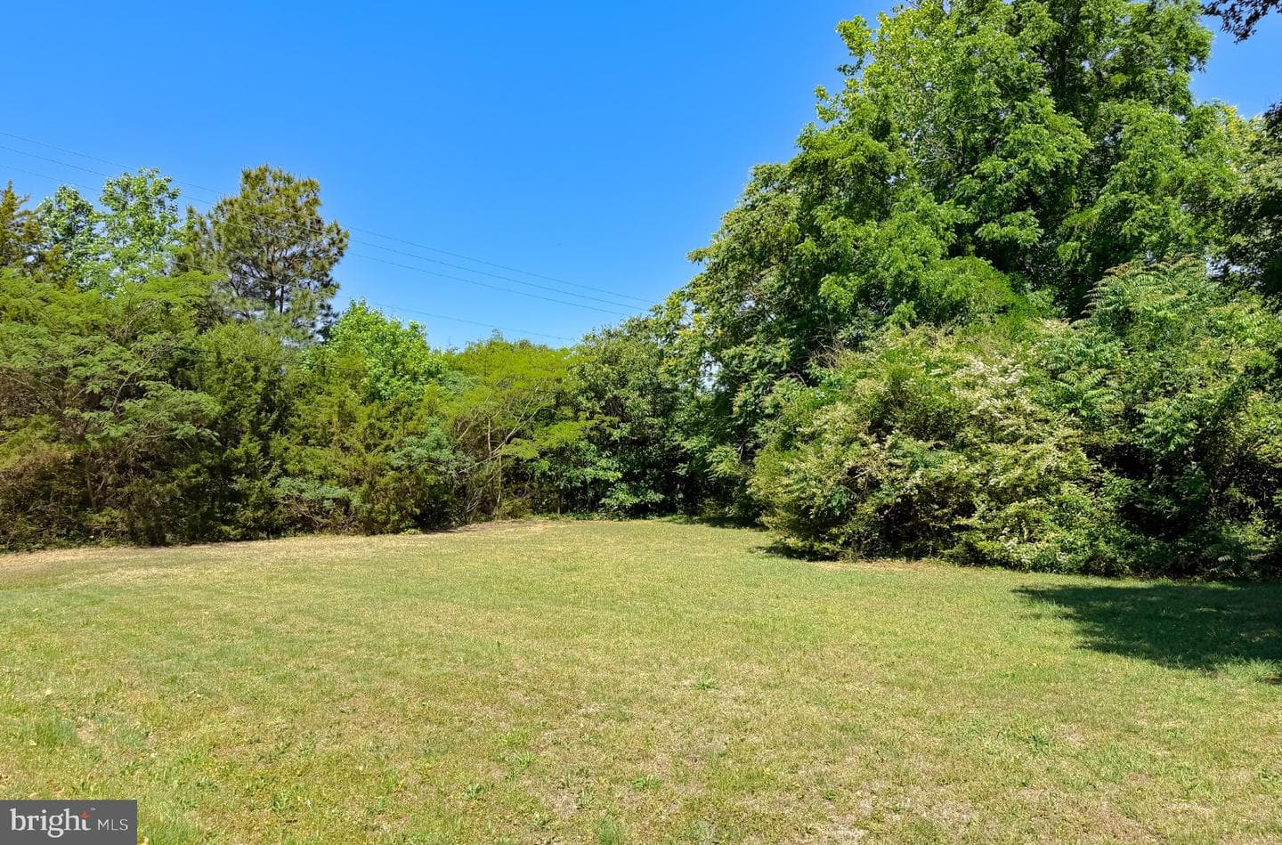 15240 Point Lookout photo 45
