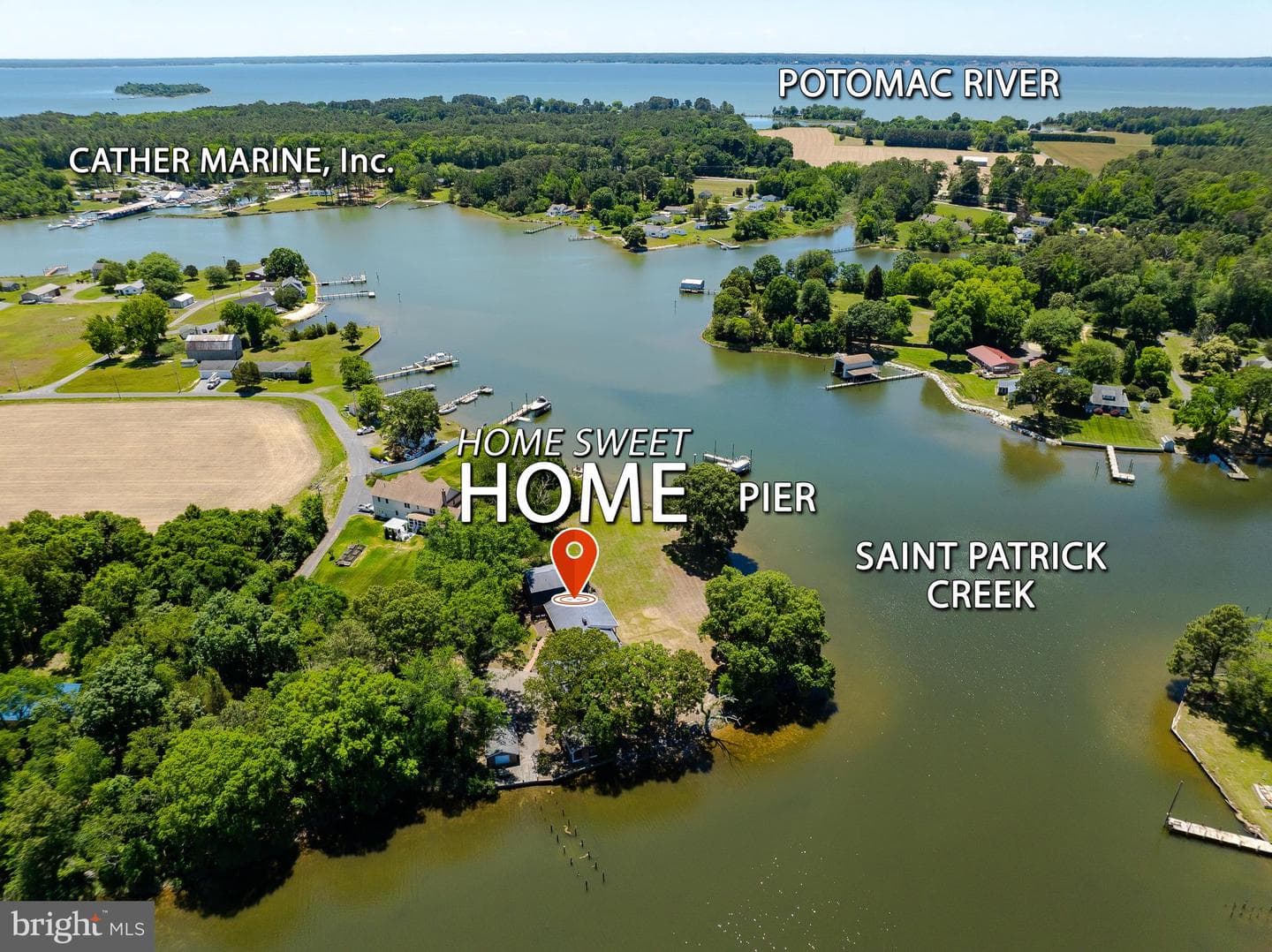 20535 Golden Thompson Road photo 5