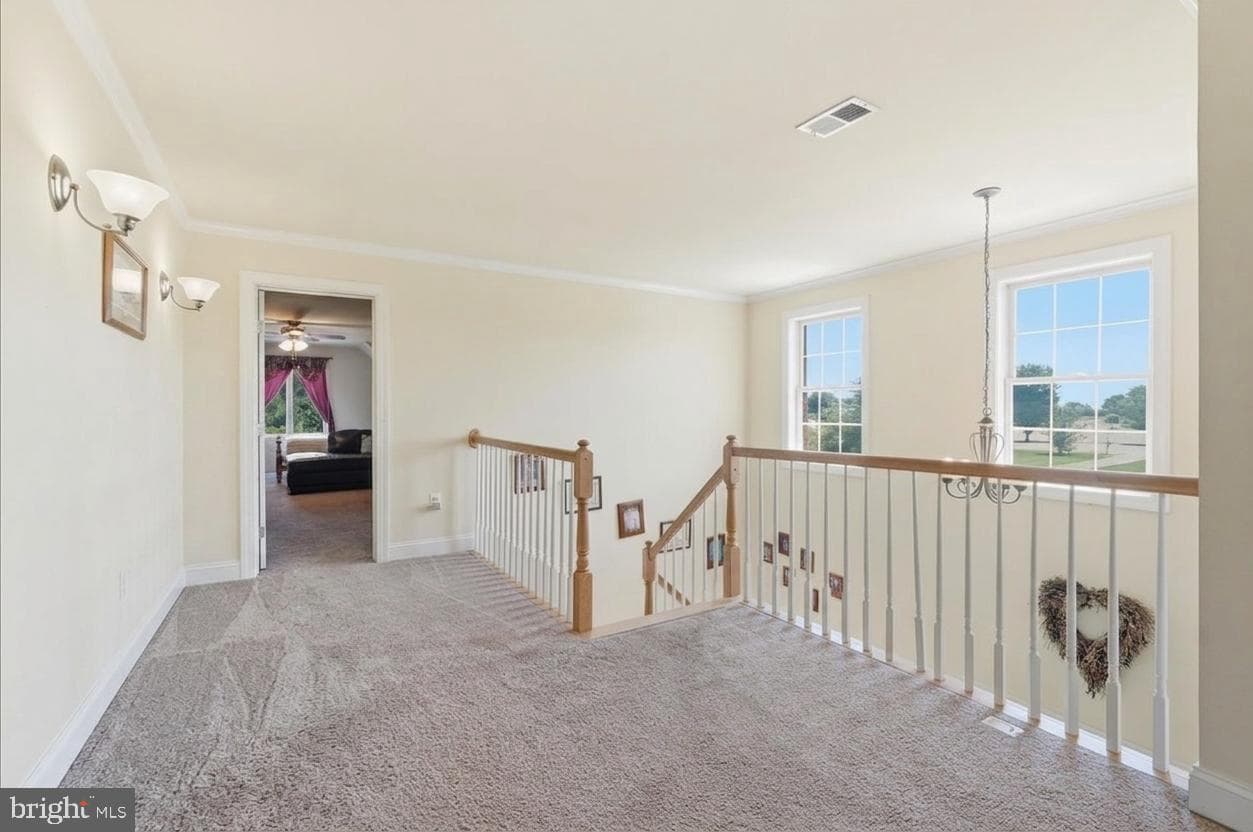 18050 Ellyn Court photo 18
