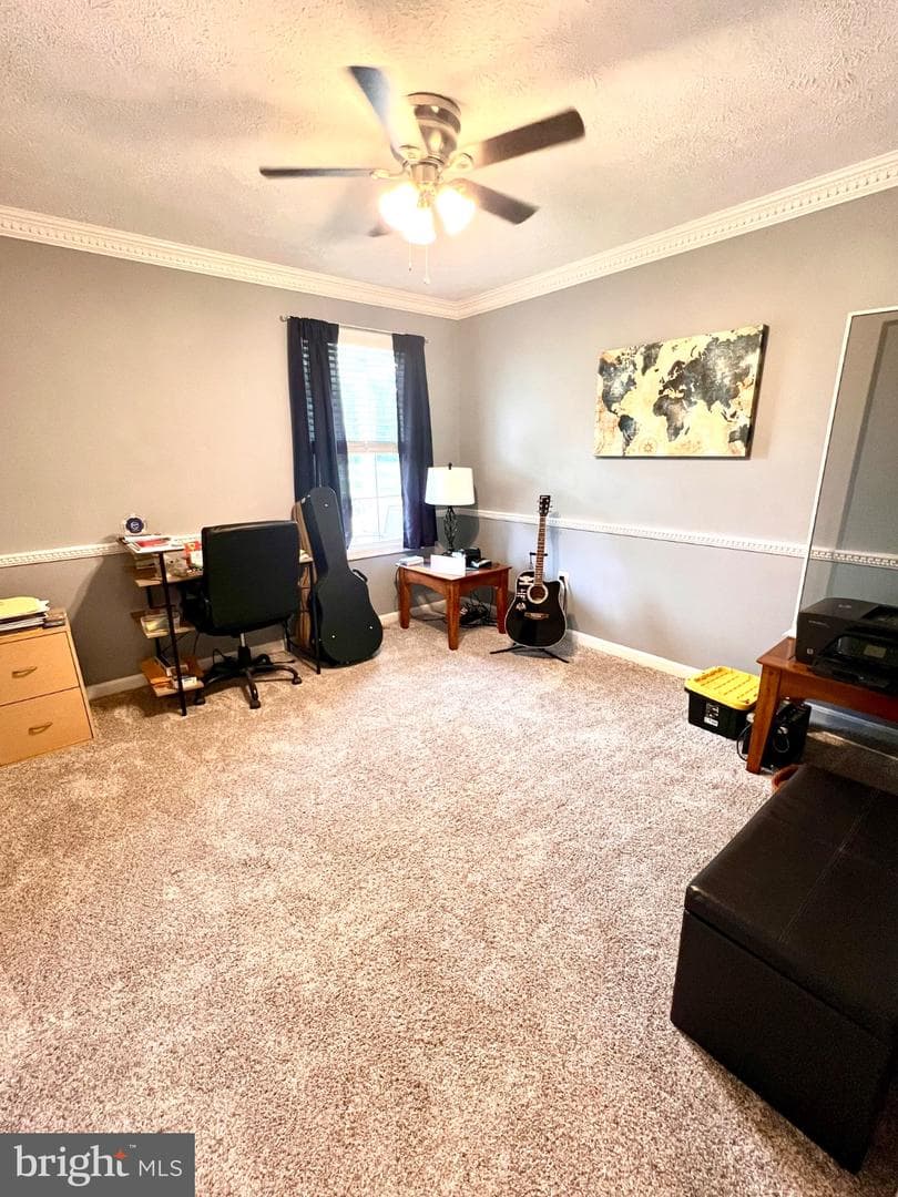 36668 Owens Drive photo 12