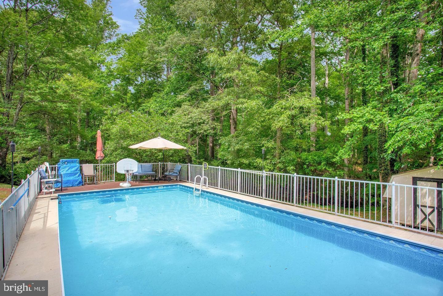 30060 Forest View Lane photo 17