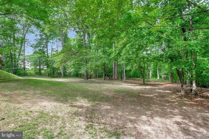 30060 Forest View Lane photo 59