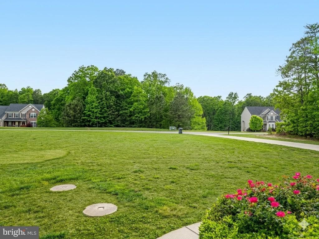 28136 Ben Oaks Drive photo 58