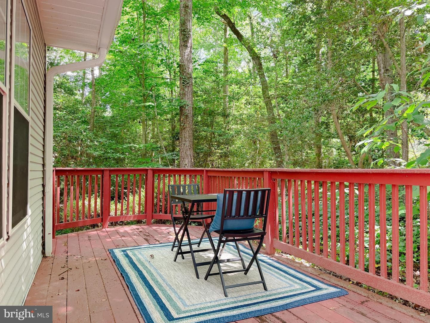 23295 White Elm Court photo 19