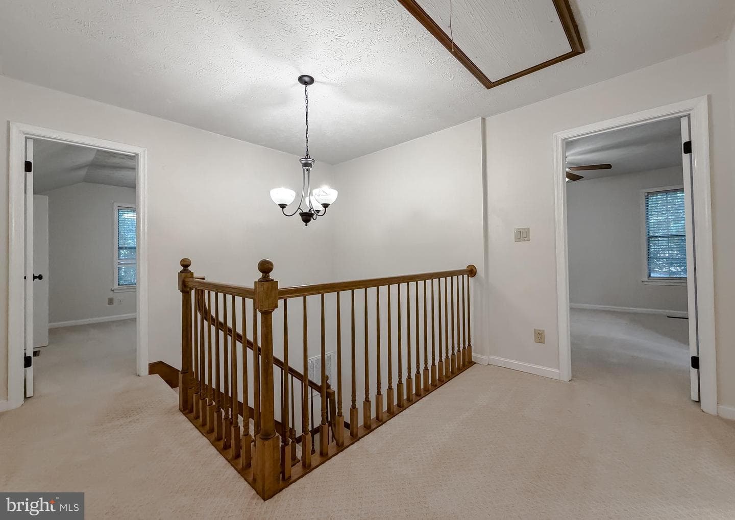23295 White Elm Court photo 23