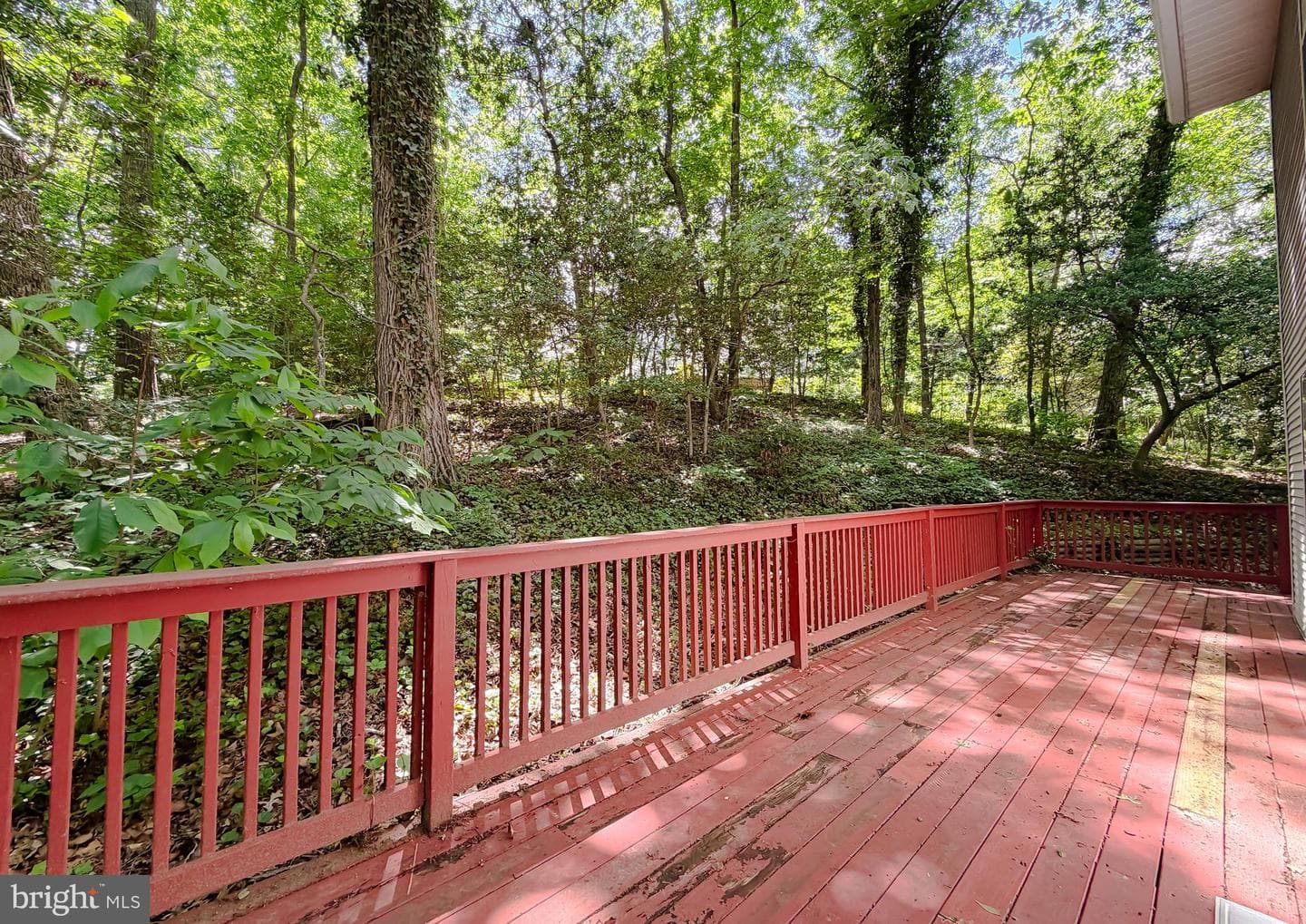 23295 White Elm Court photo 41