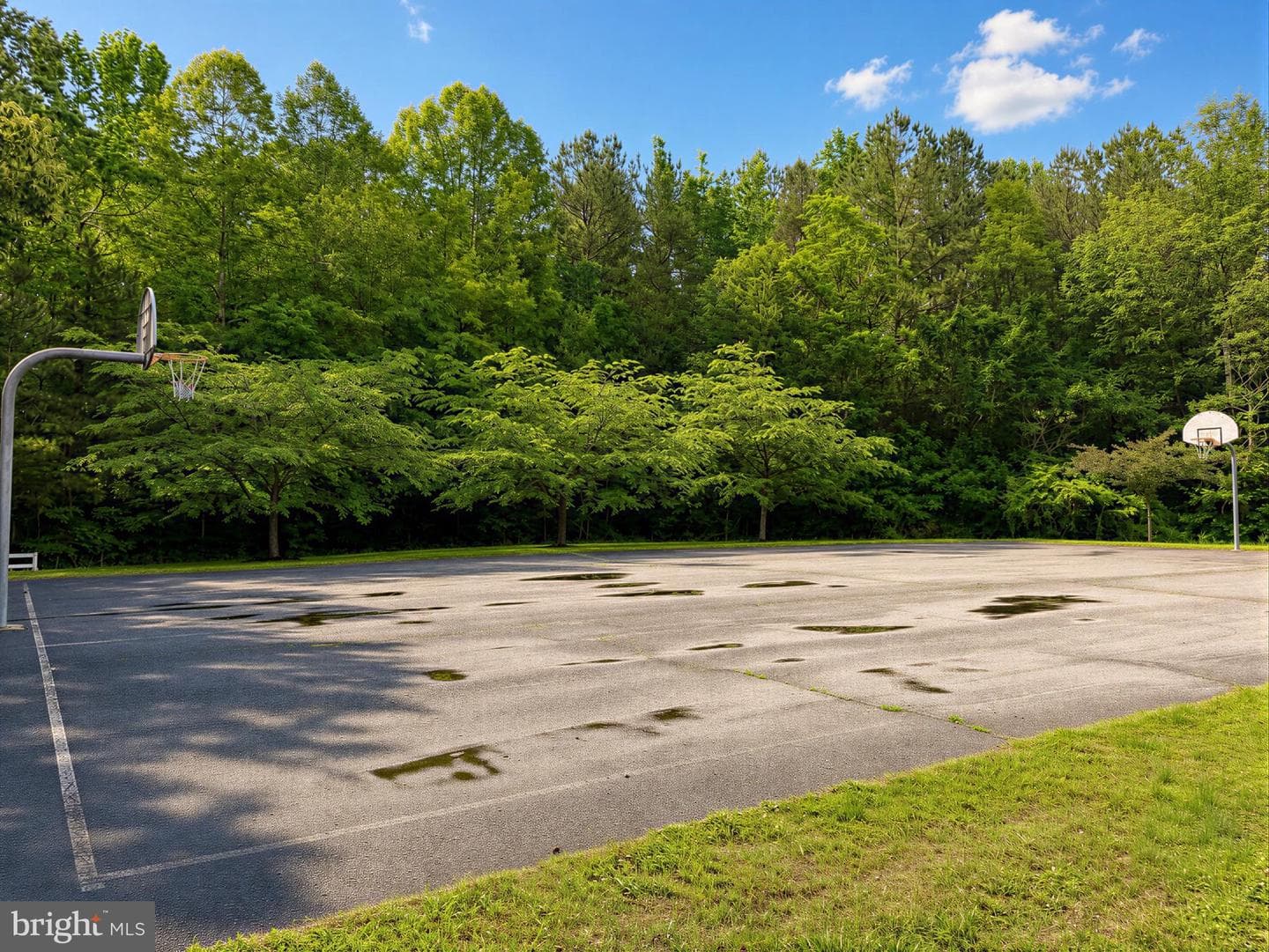 46480 Hilton Ridge Drive photo 69