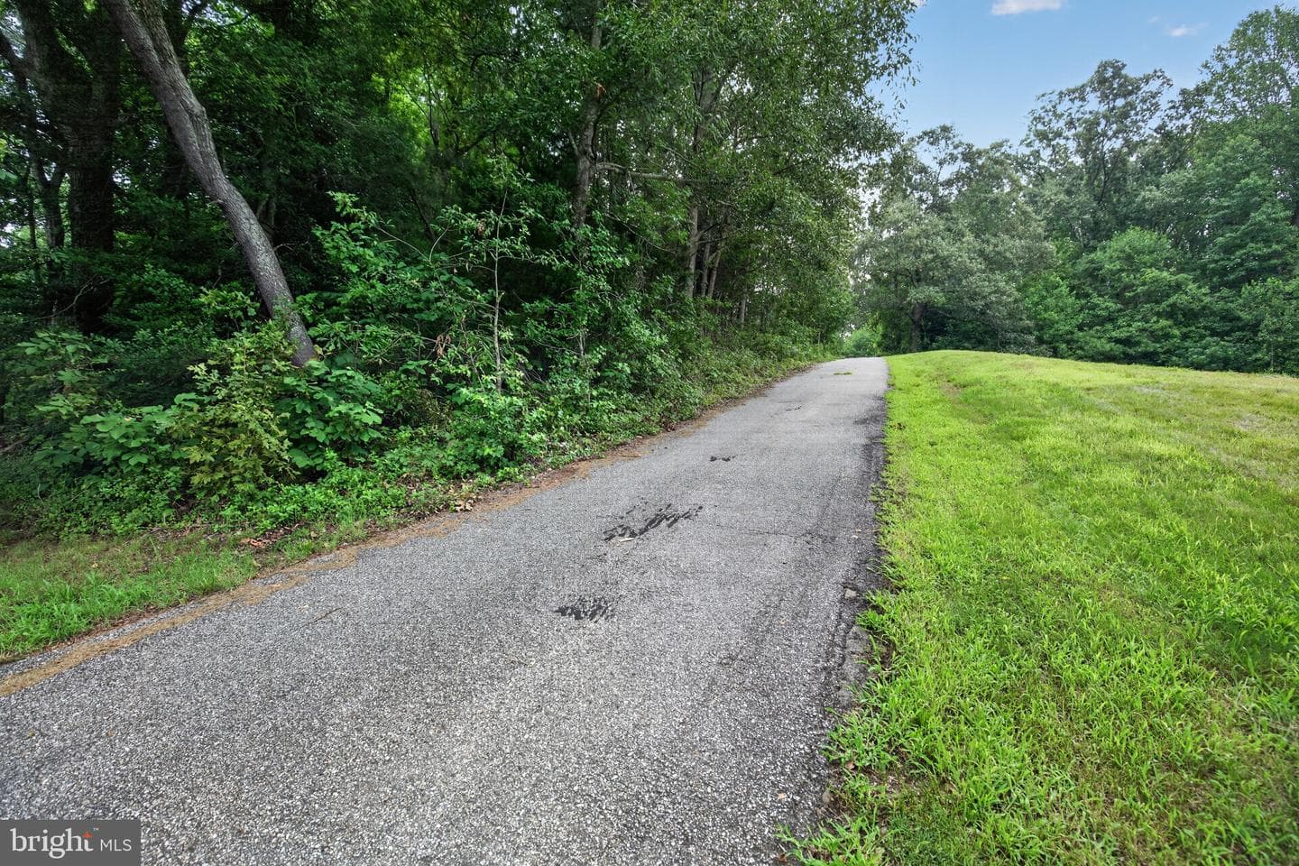 23690 Maddox Road photo 42