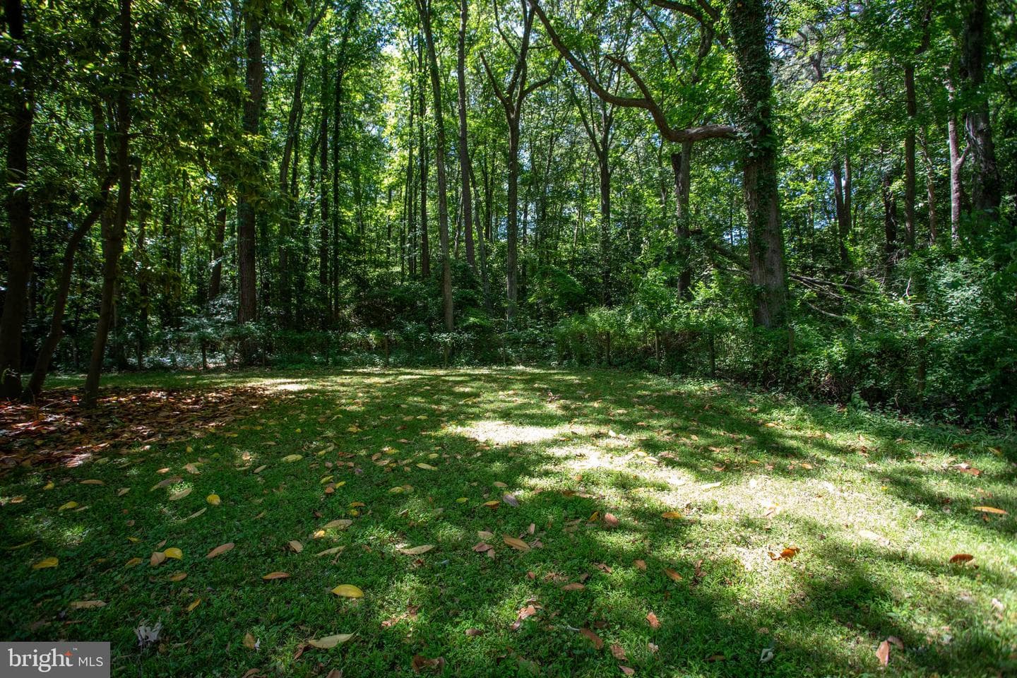 20623 Poplar Ridge Road E photo 51