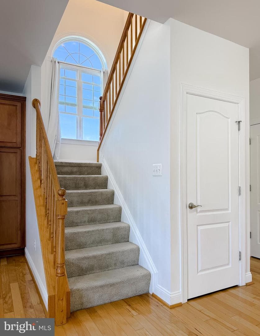 24439 Broad Creek Drive photo 43