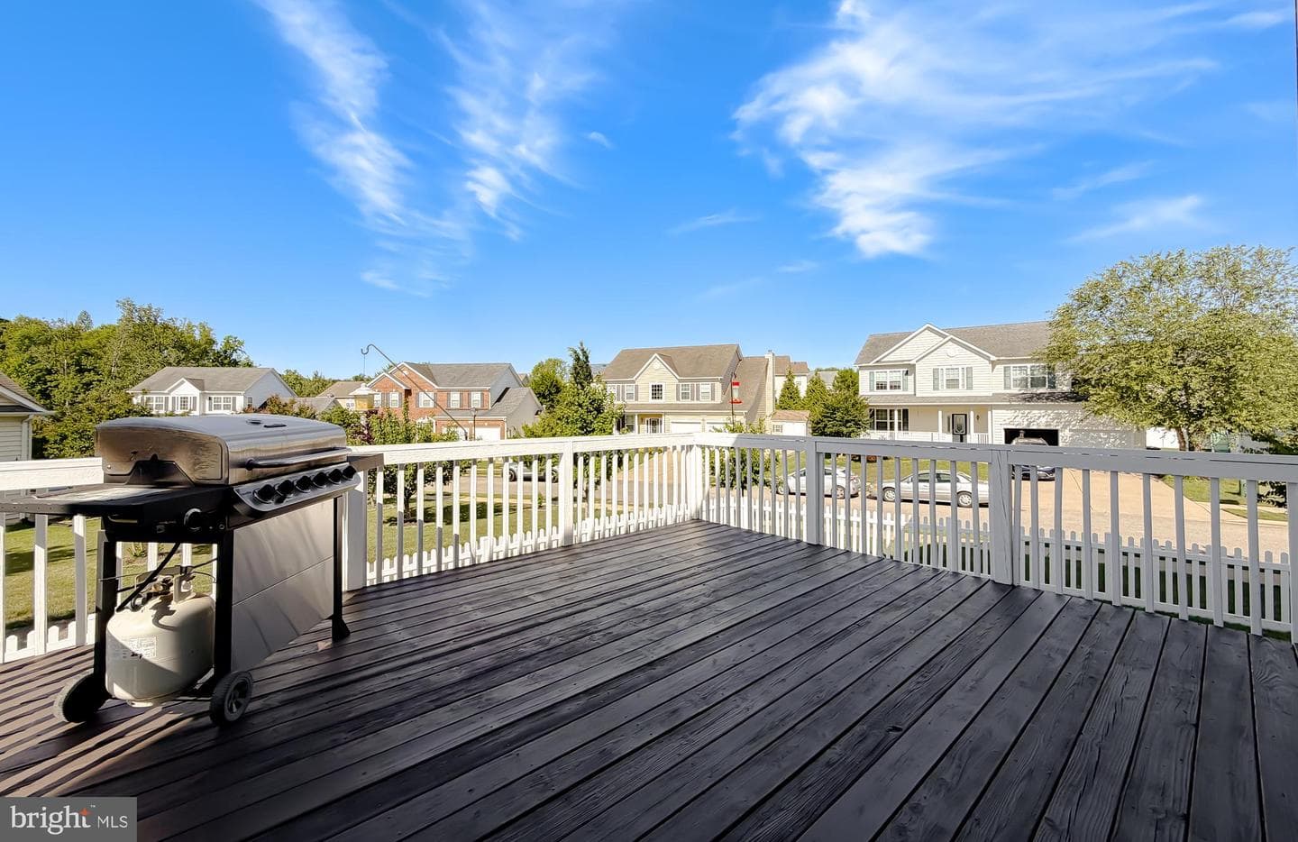 24439 Broad Creek Drive photo 53