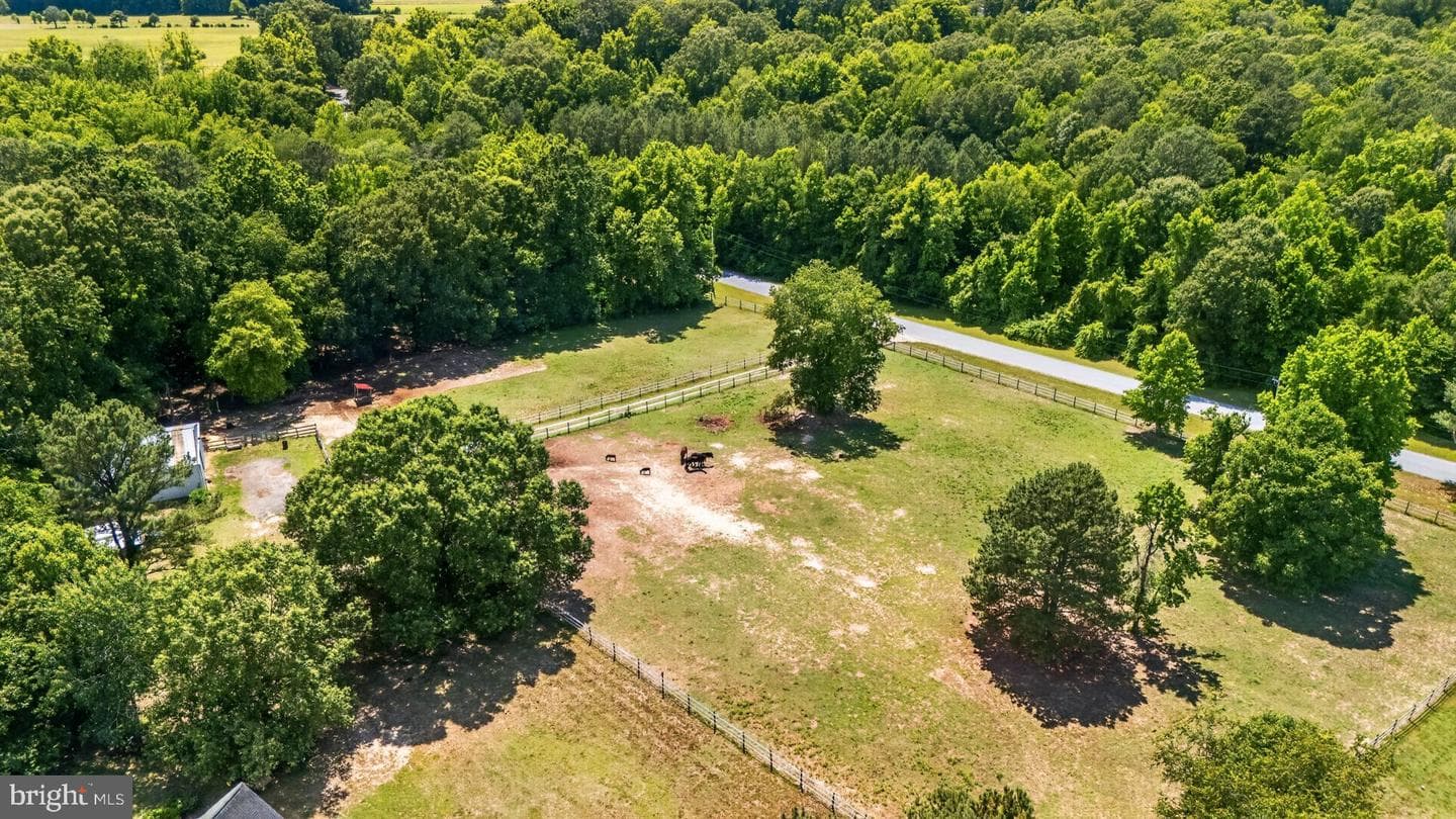 24249 Mcintosh Road photo 11