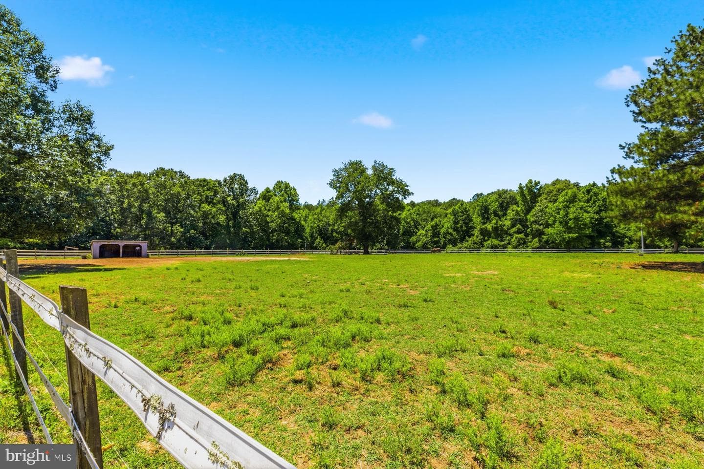 24249 Mcintosh Road photo 9