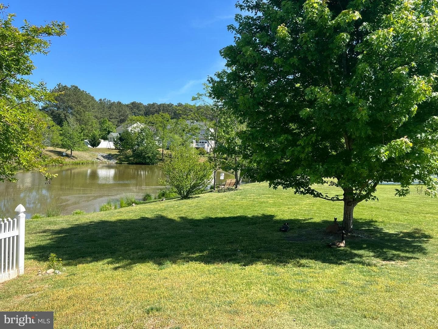 20824 Flour Mill Court photo 7