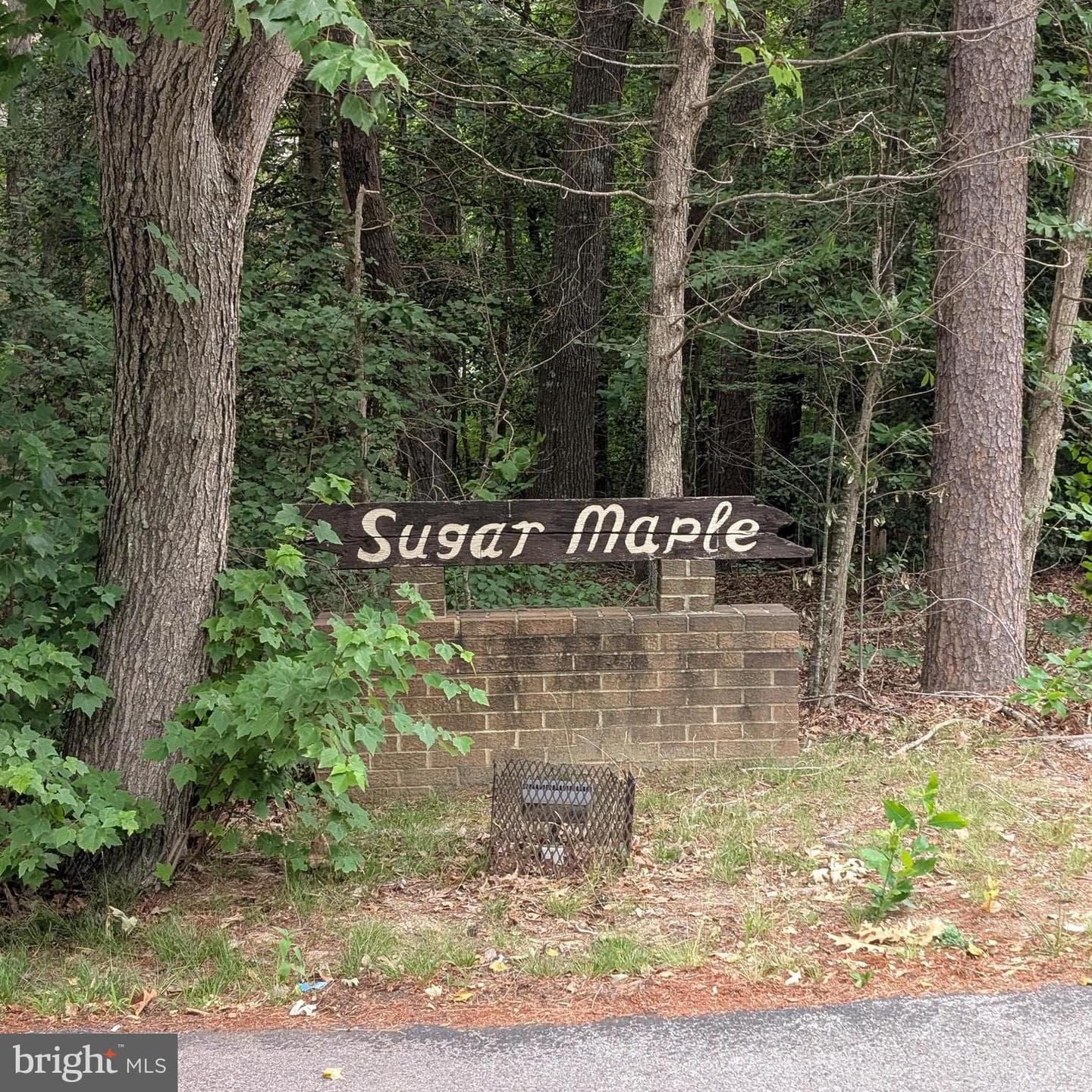 23313 Sugar Maple Court #6c photo 3