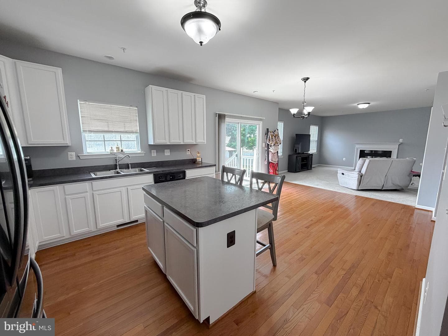 20894 Governors Mill Court photo 18