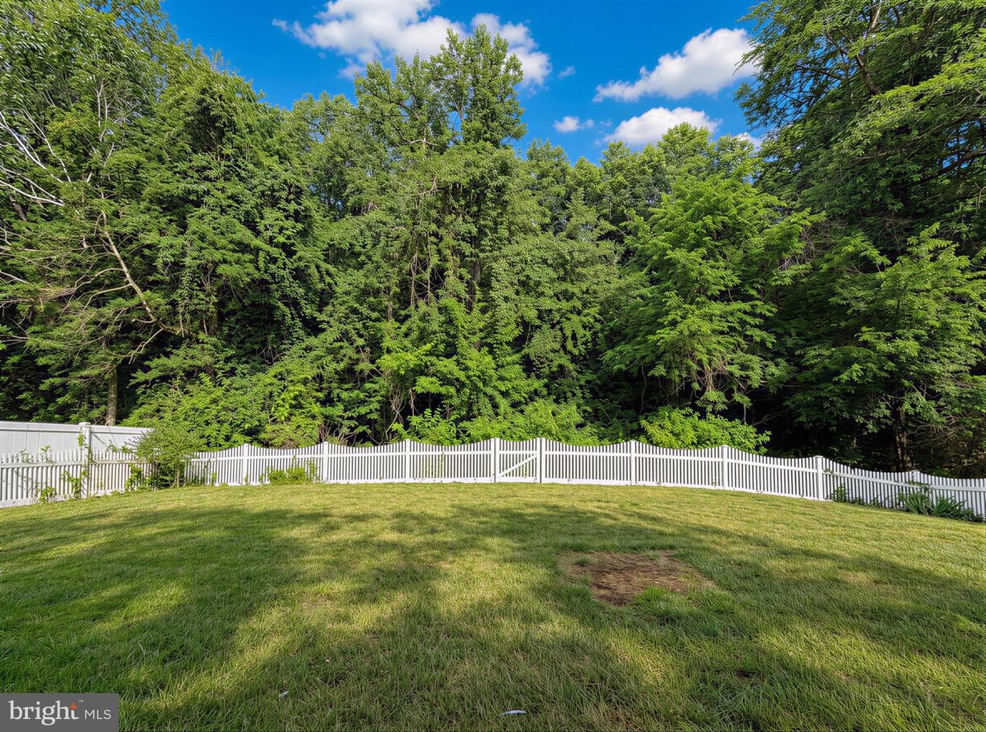 23591 Margrave Drive photo 9