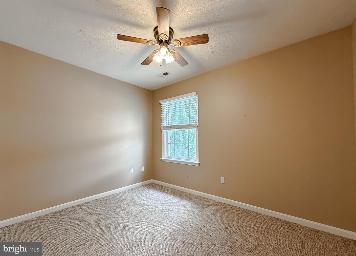 40777 Center 40 Circle photo 51