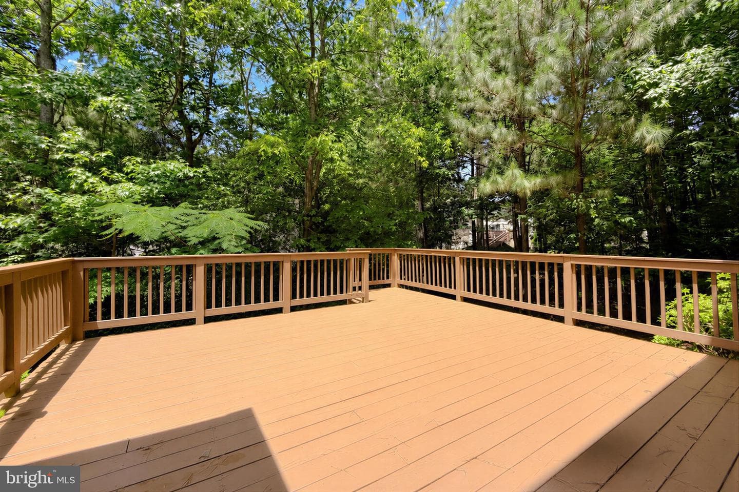 23118 Silverberry Way photo 53