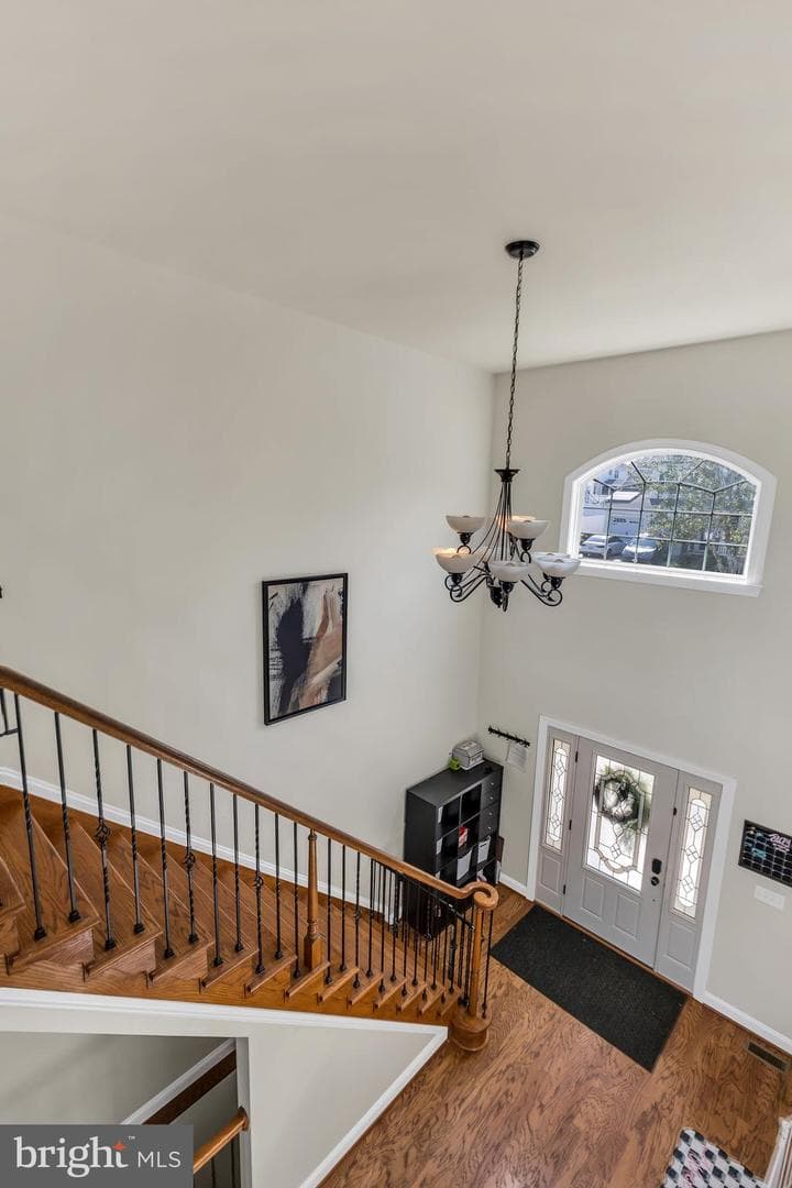 23636 Hansel Court photo 41