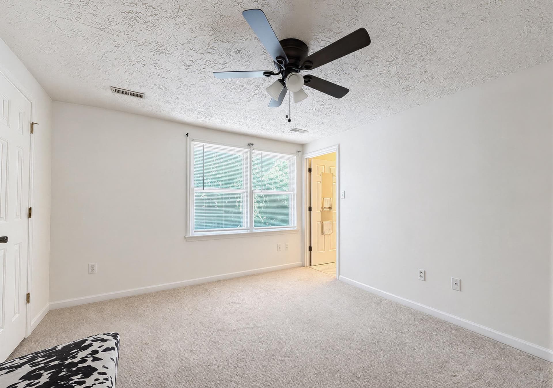 20811 Harlequin Lane photo 15