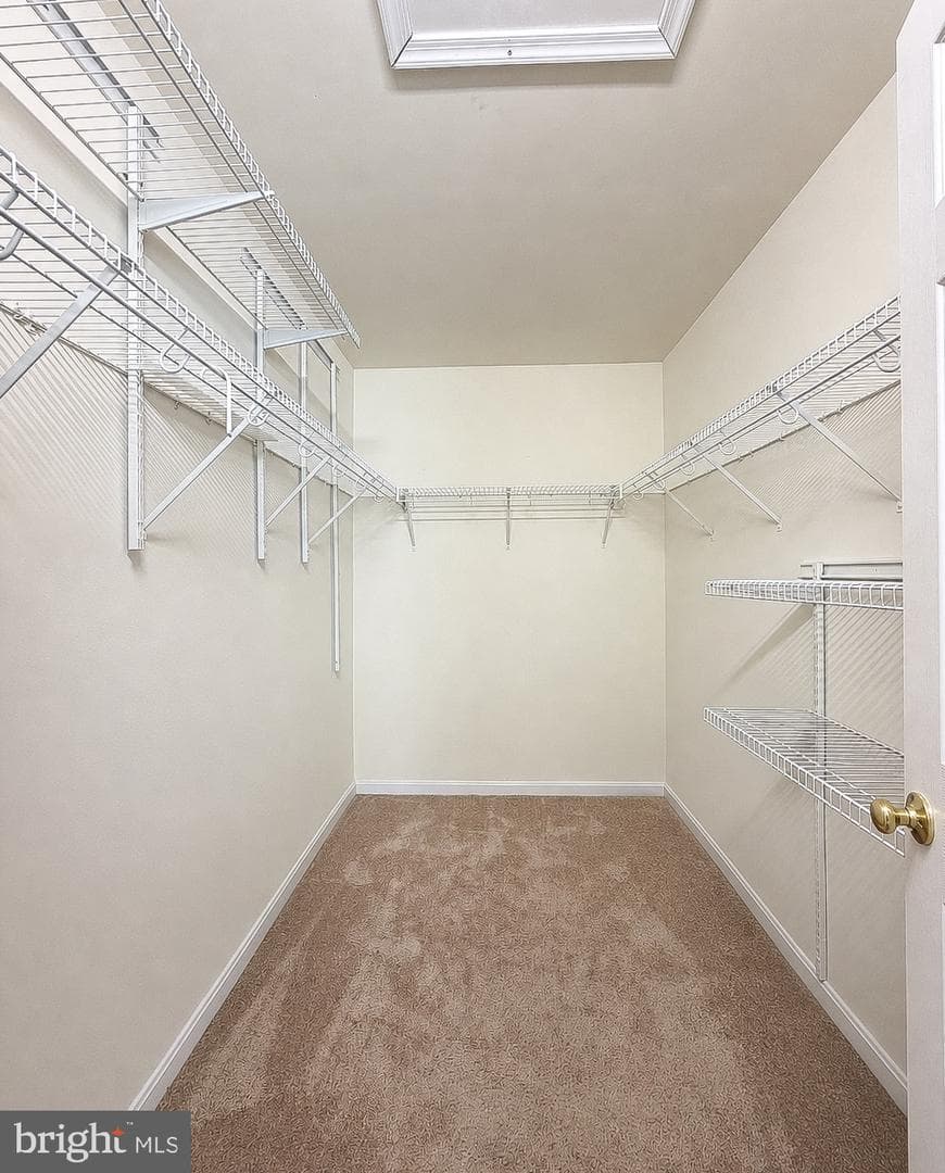 20912 Olympia Court photo 53