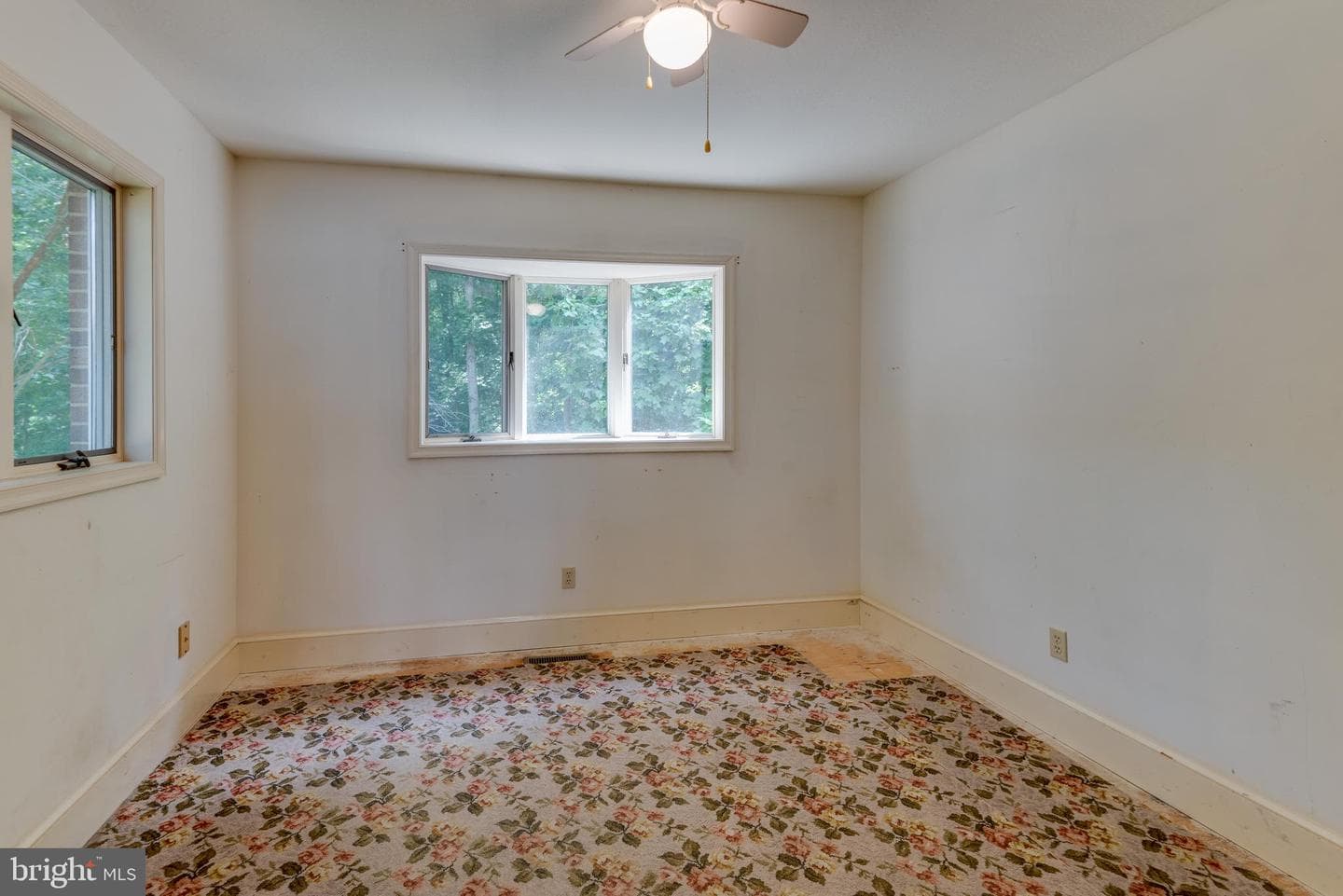 43816 Raspberry Lane photo 32
