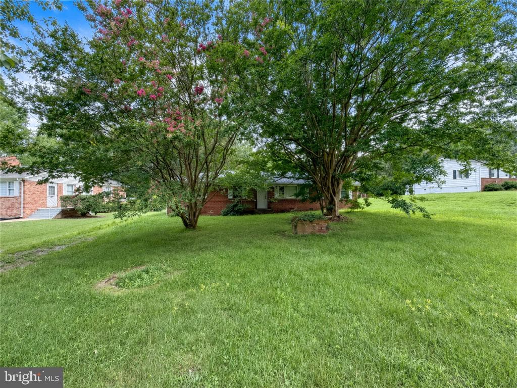 22685 Maddox Road photo 3