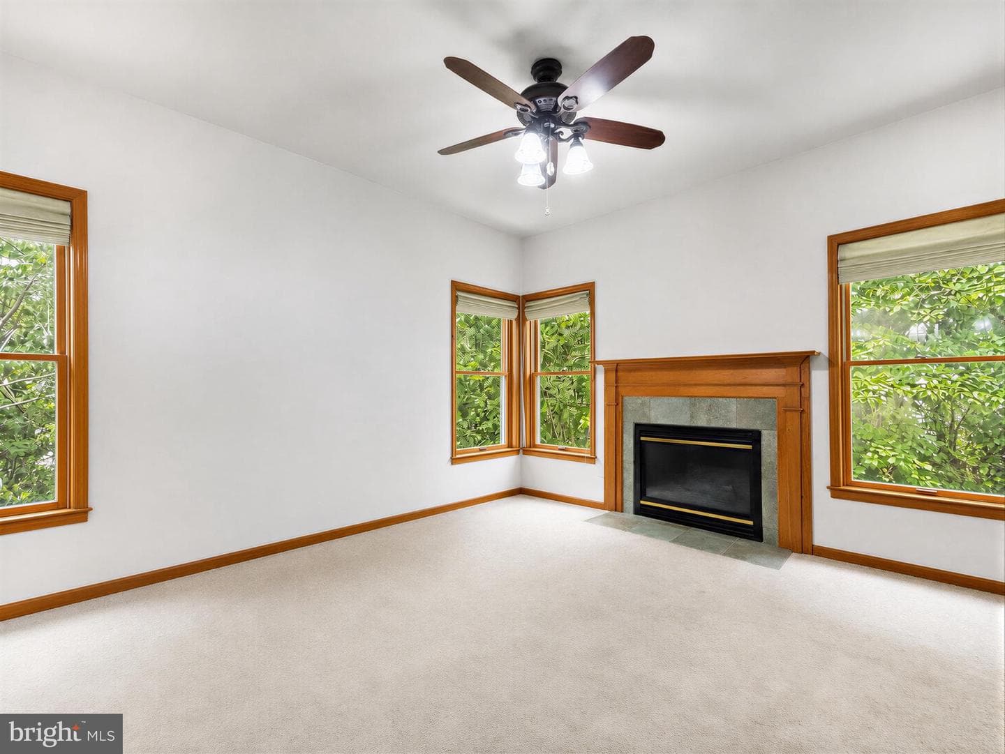 22393 Deerpath Court, Great Mills