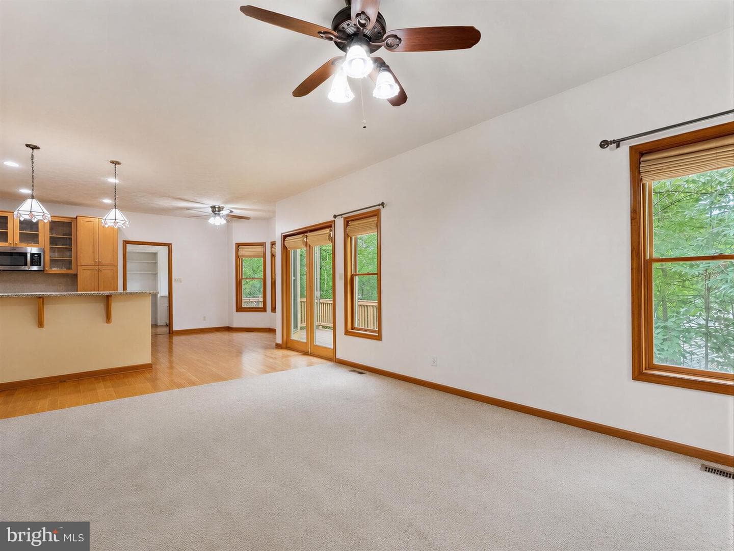 22393 Deerpath Court photo 26