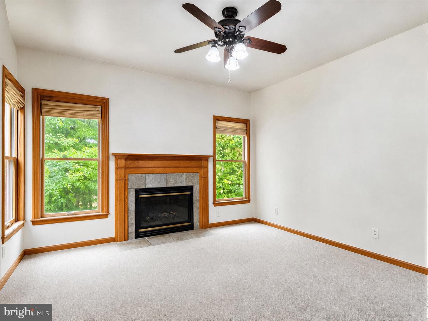 22393 Deerpath Court photo 27