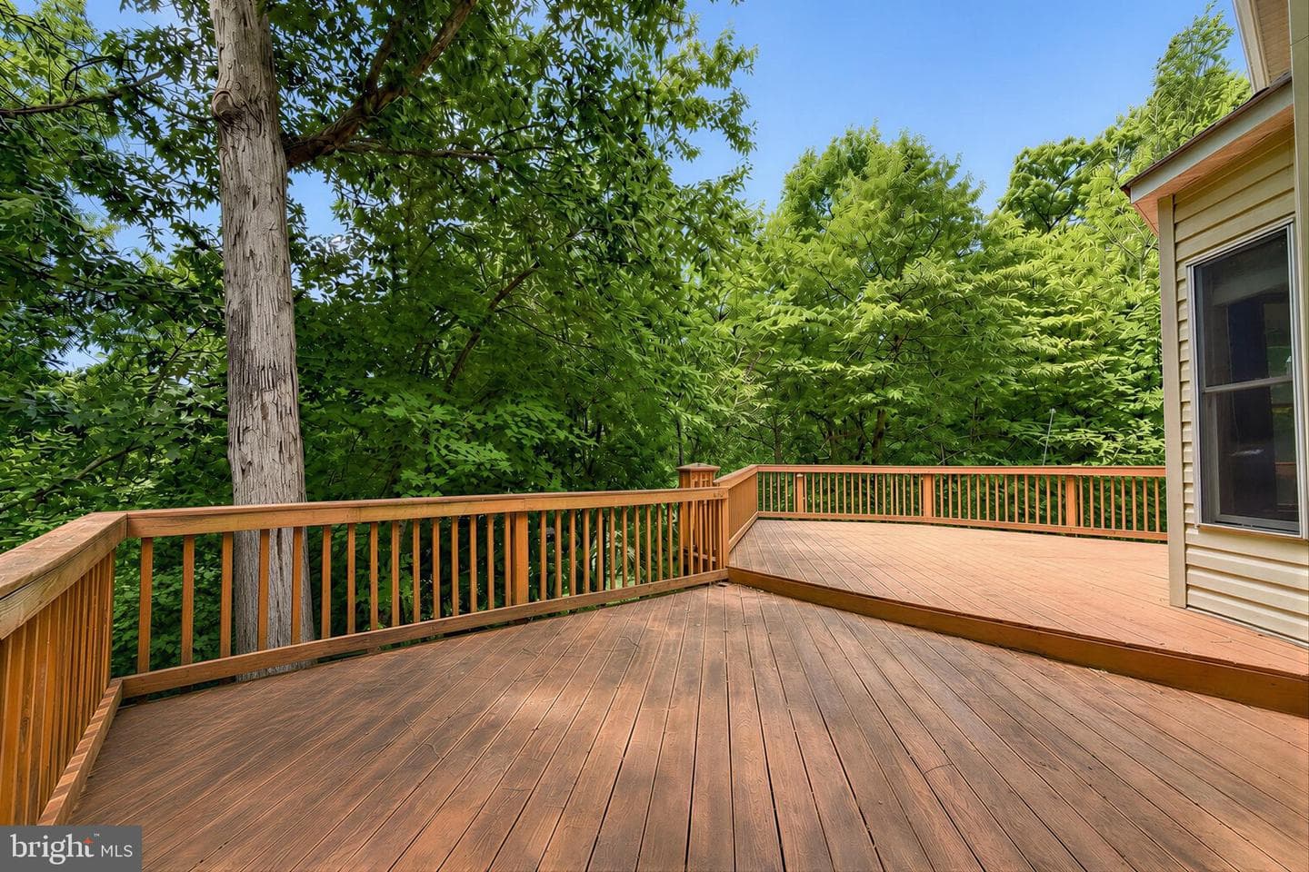 22393 Deerpath Court photo 29