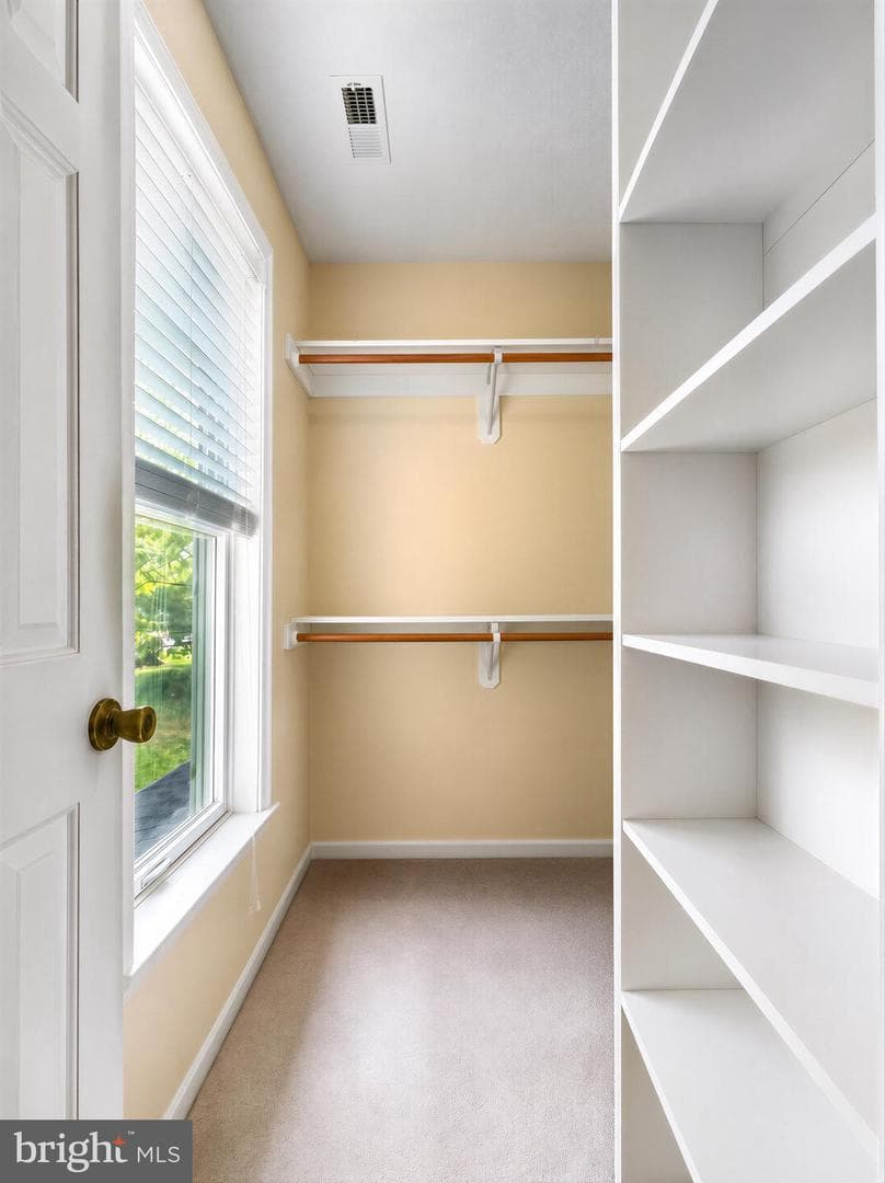 22393 Deerpath Court photo 42