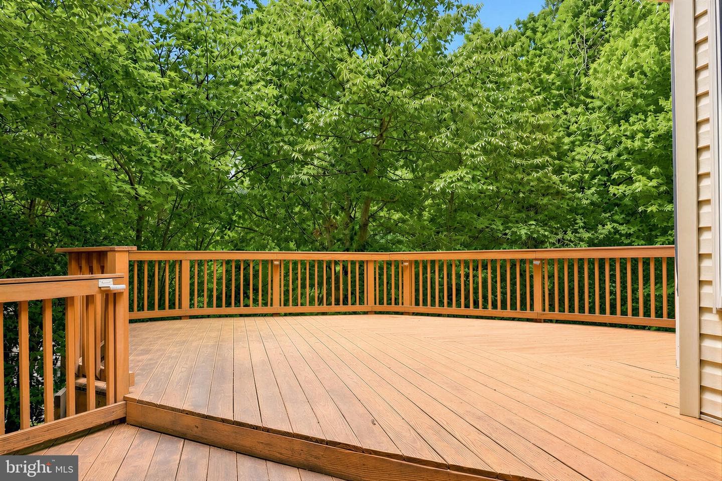 22393 Deerpath Court photo 6