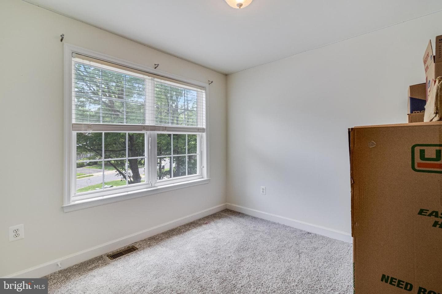 48274 Choptank photo 29