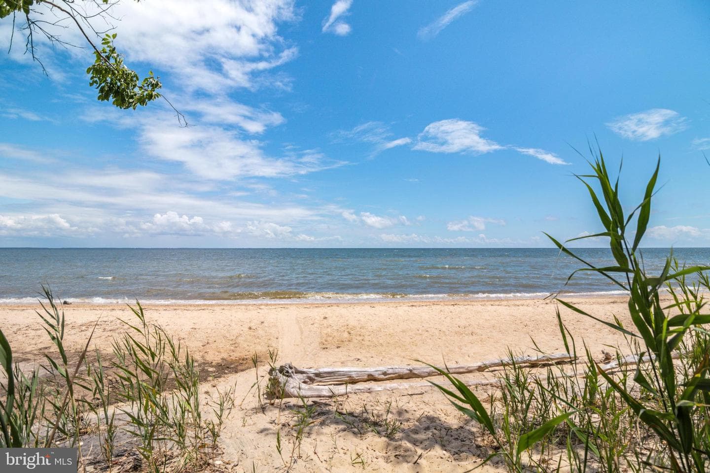 48274 Choptank photo 42