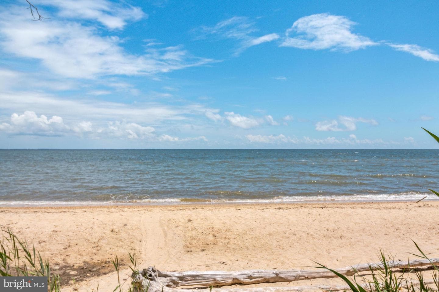 48274 Choptank photo 43