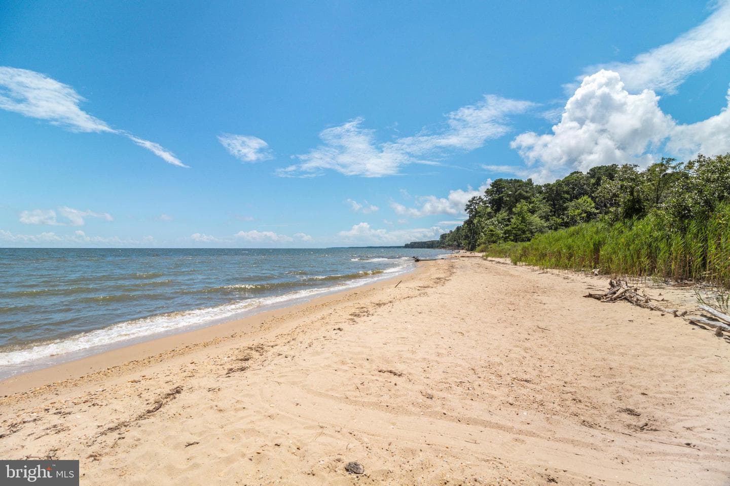 48274 Choptank photo 44