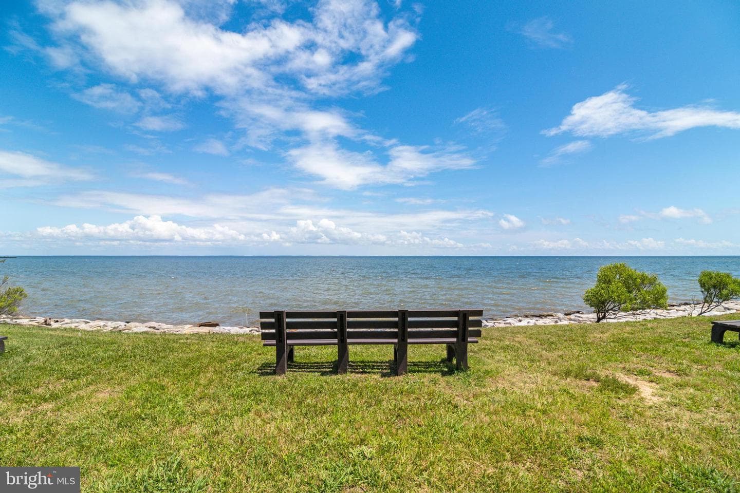 48274 Choptank photo 45