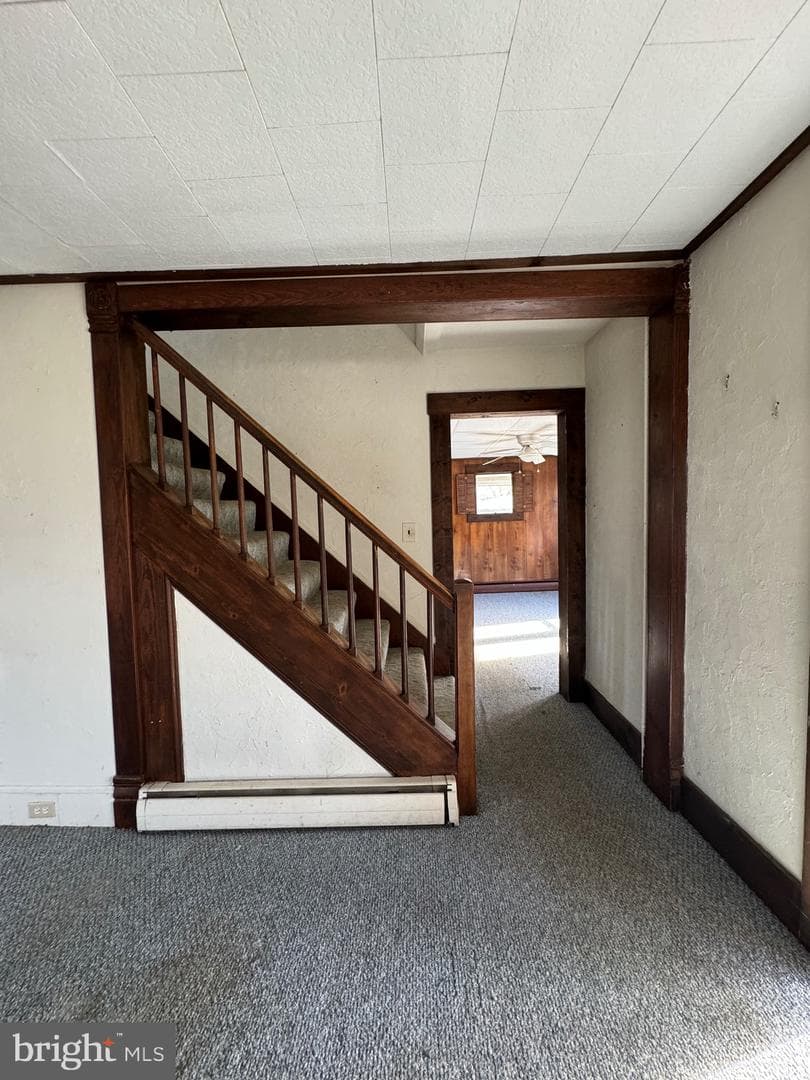 206 Laird Avenue photo 18
