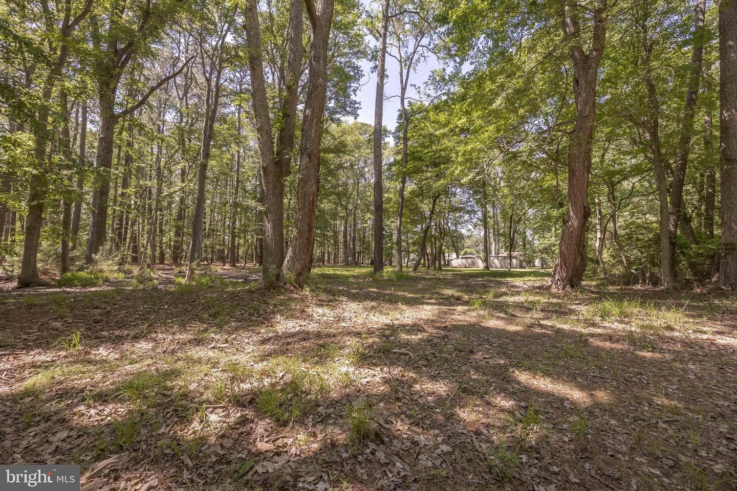 26547 Old State Road photo 70