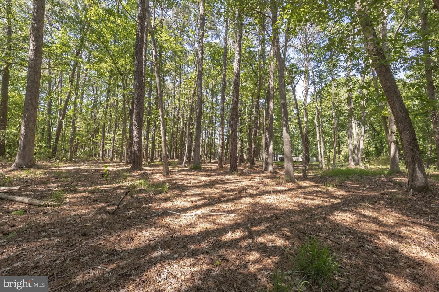 26547 Old State Road photo 71
