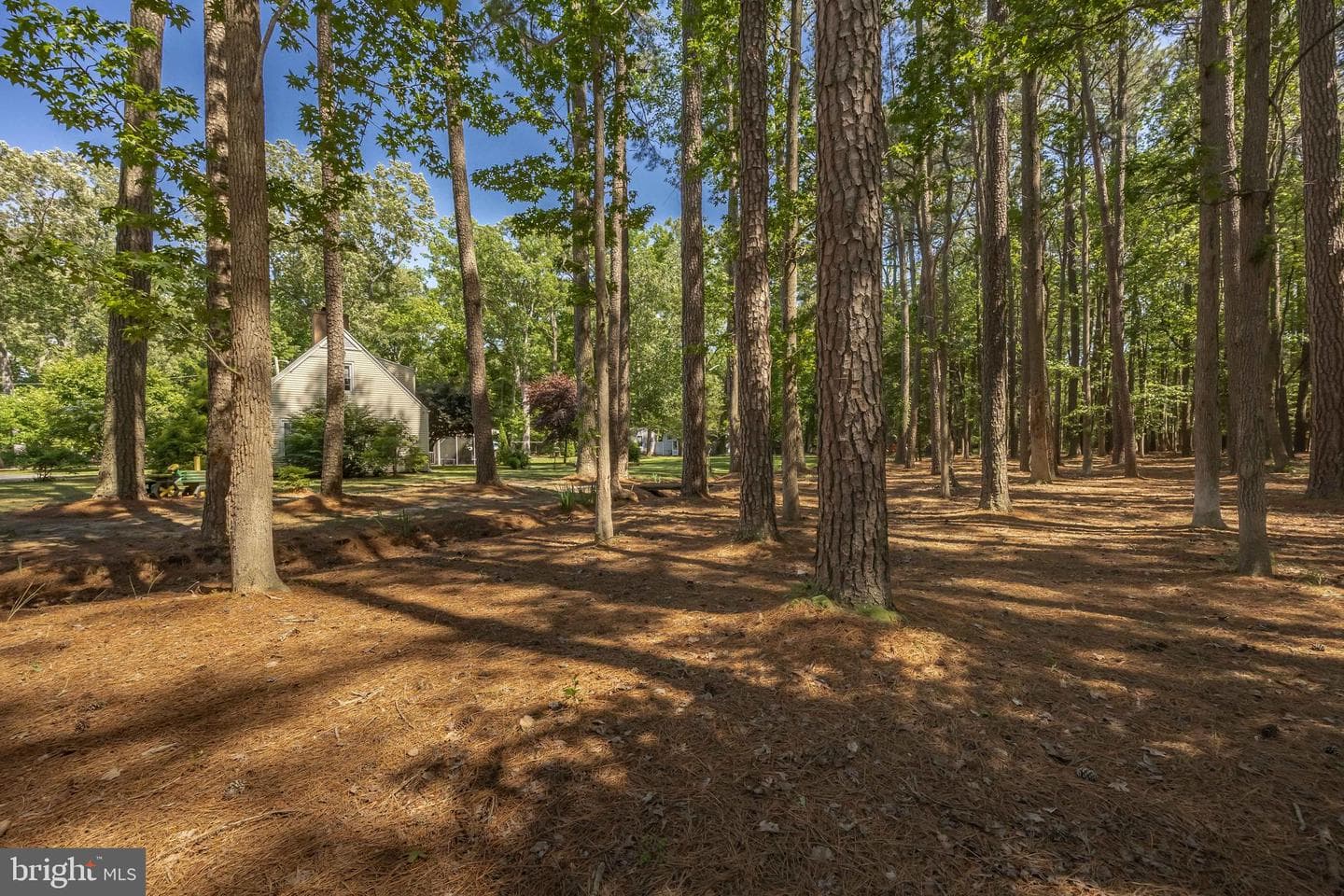 26547 Old State Road photo 86