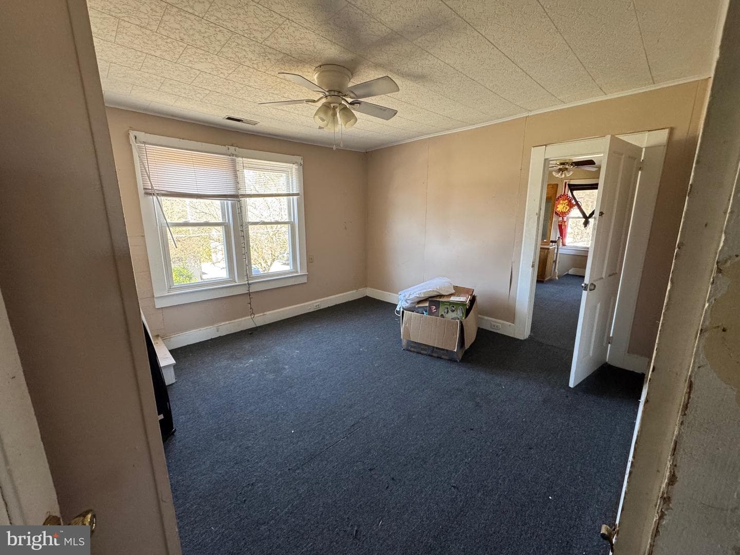 30432 Oak Street photo 10