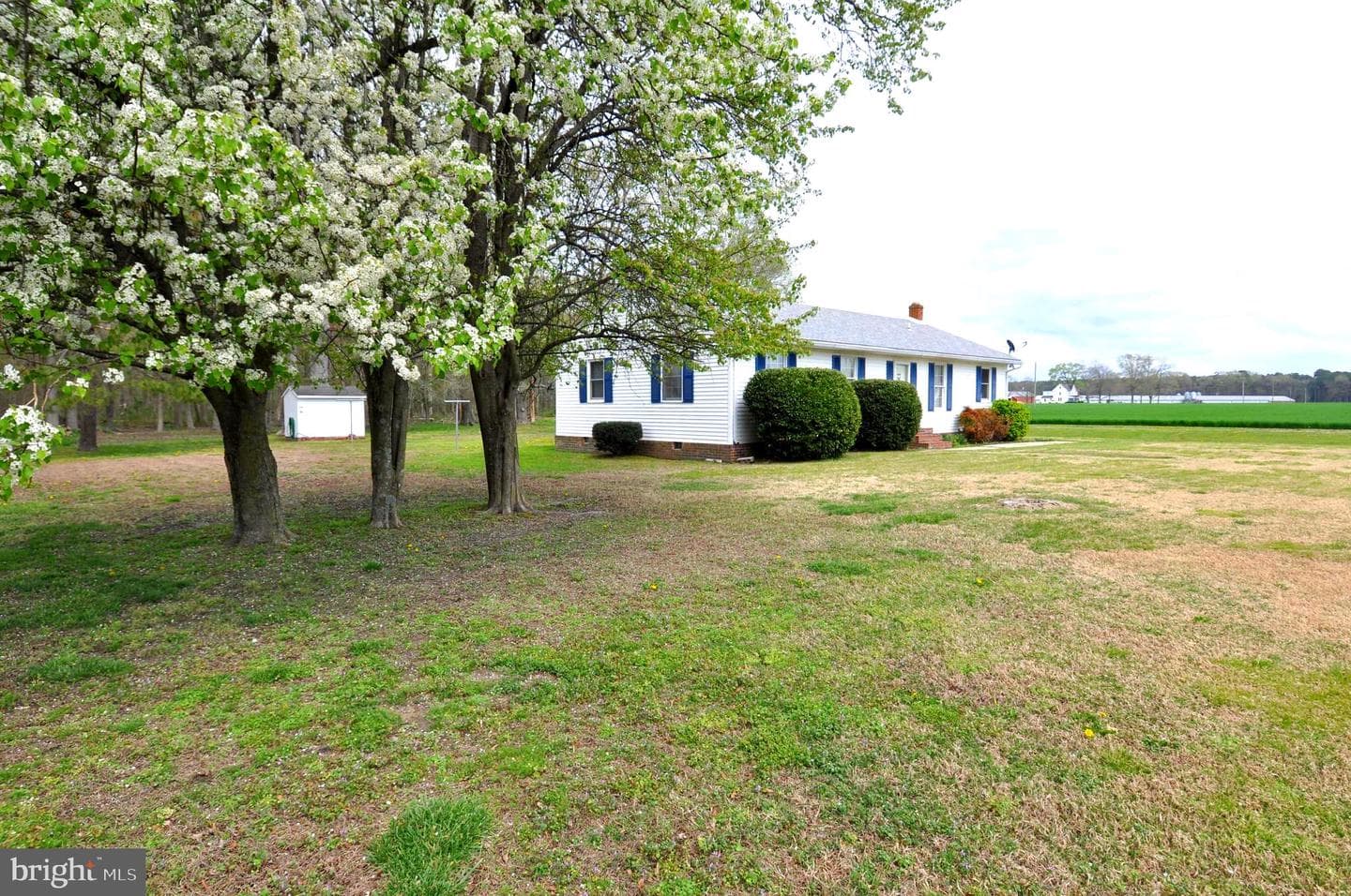 30376 Charles Barnes Road photo 39