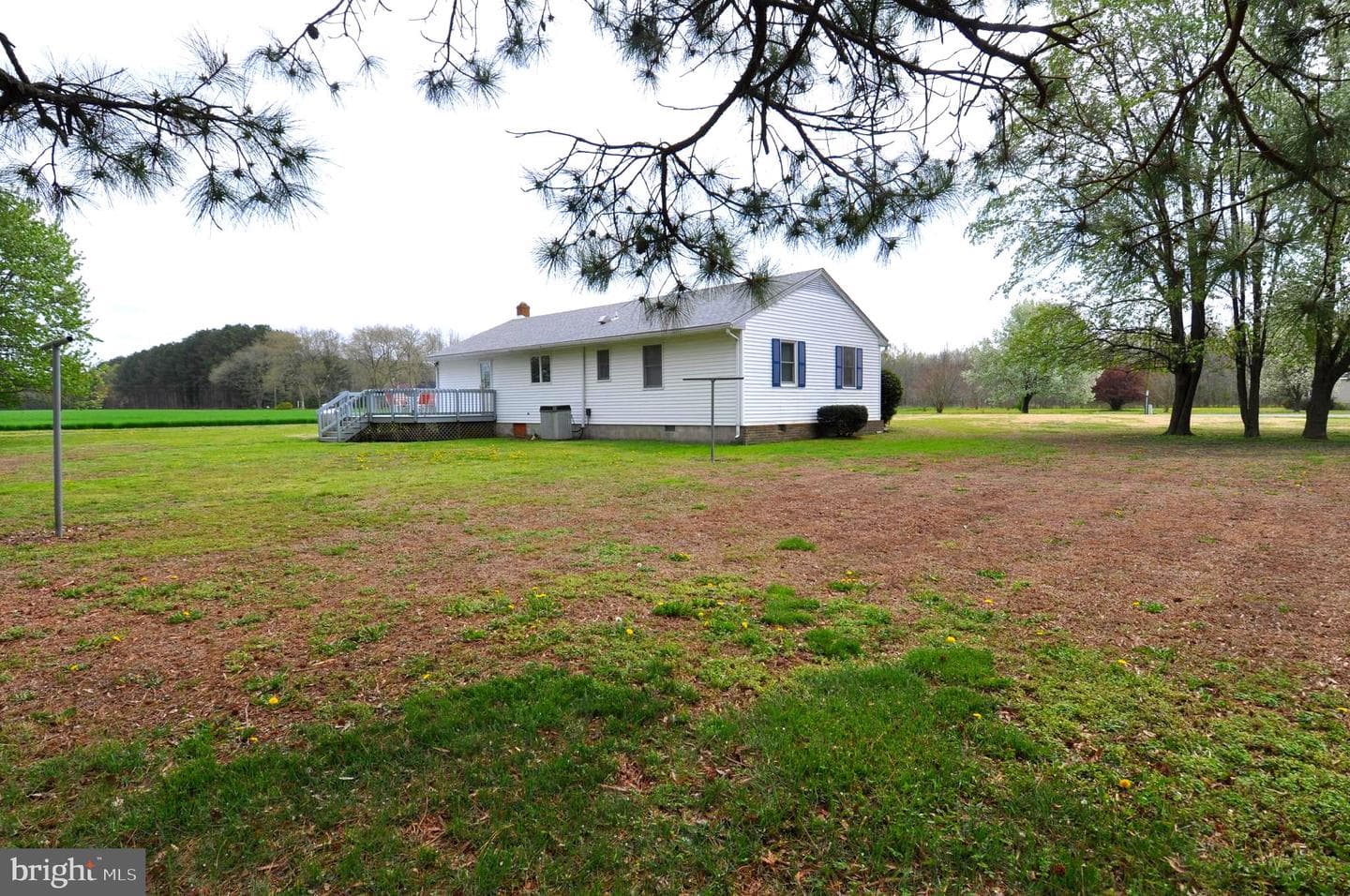 30376 Charles Barnes Road photo 42