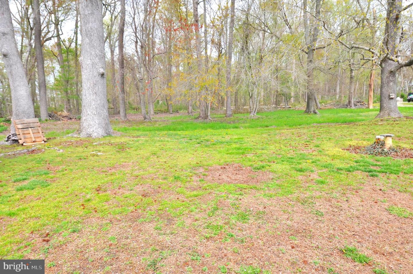 30376 Charles Barnes Road photo 43