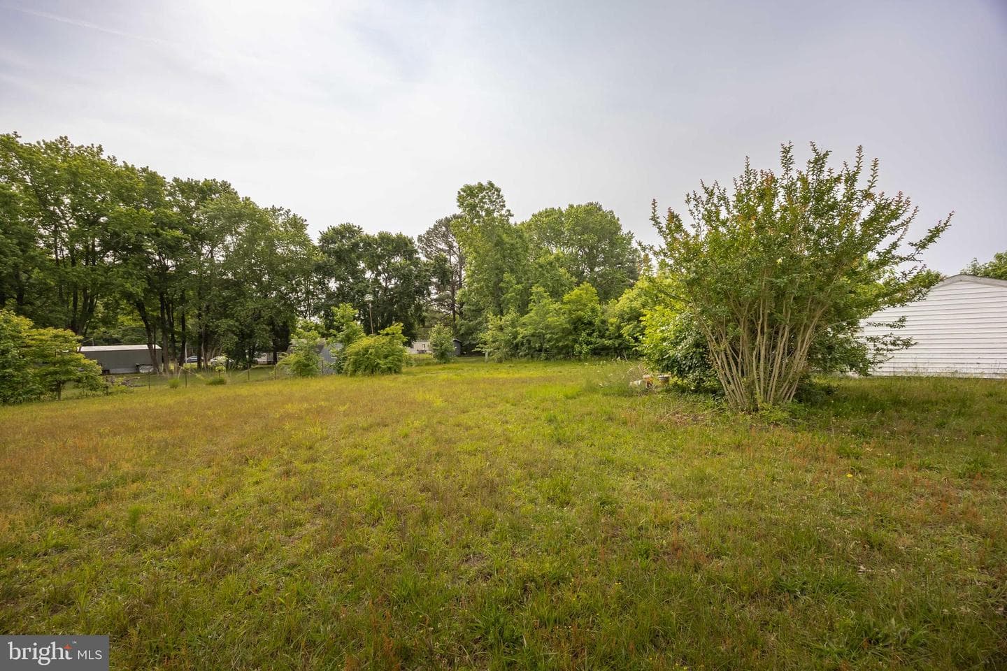 14169 Carver Manor Circle photo 40