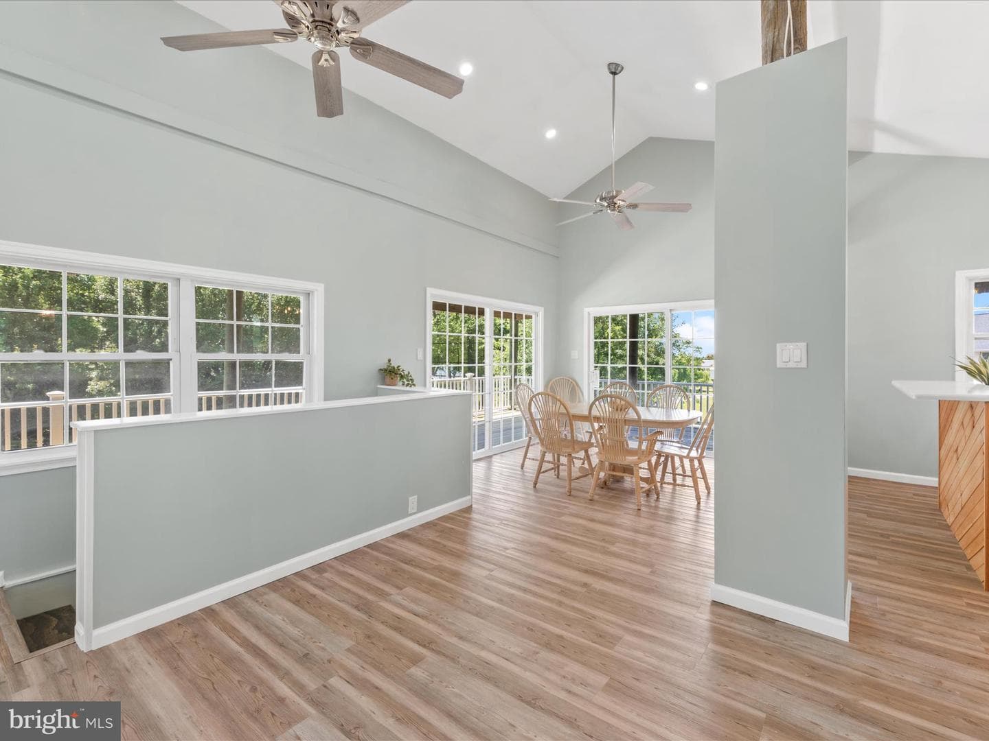 23156 Manokin Court photo 14